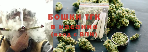 гашик Зерноград