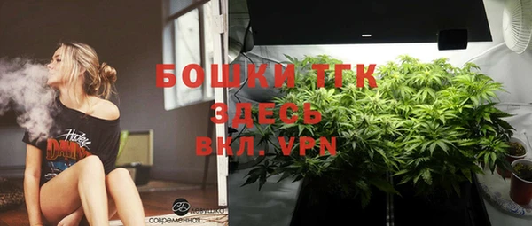гашик Зерноград
