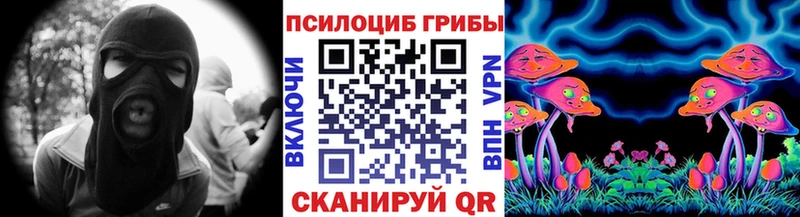Купить  Каменск-Шахтинский  Псилоцибиновые грибы Psilocybine cubensis 